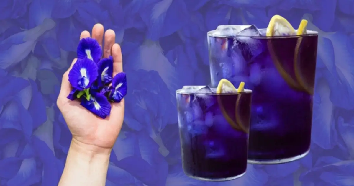 mounjaro recipe for weight loss